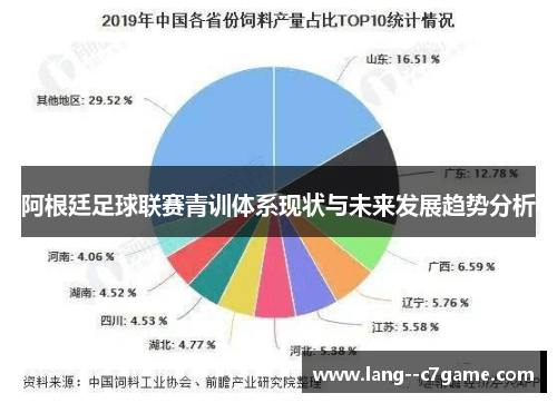 阿根廷足球联赛青训体系现状与未来发展趋势分析